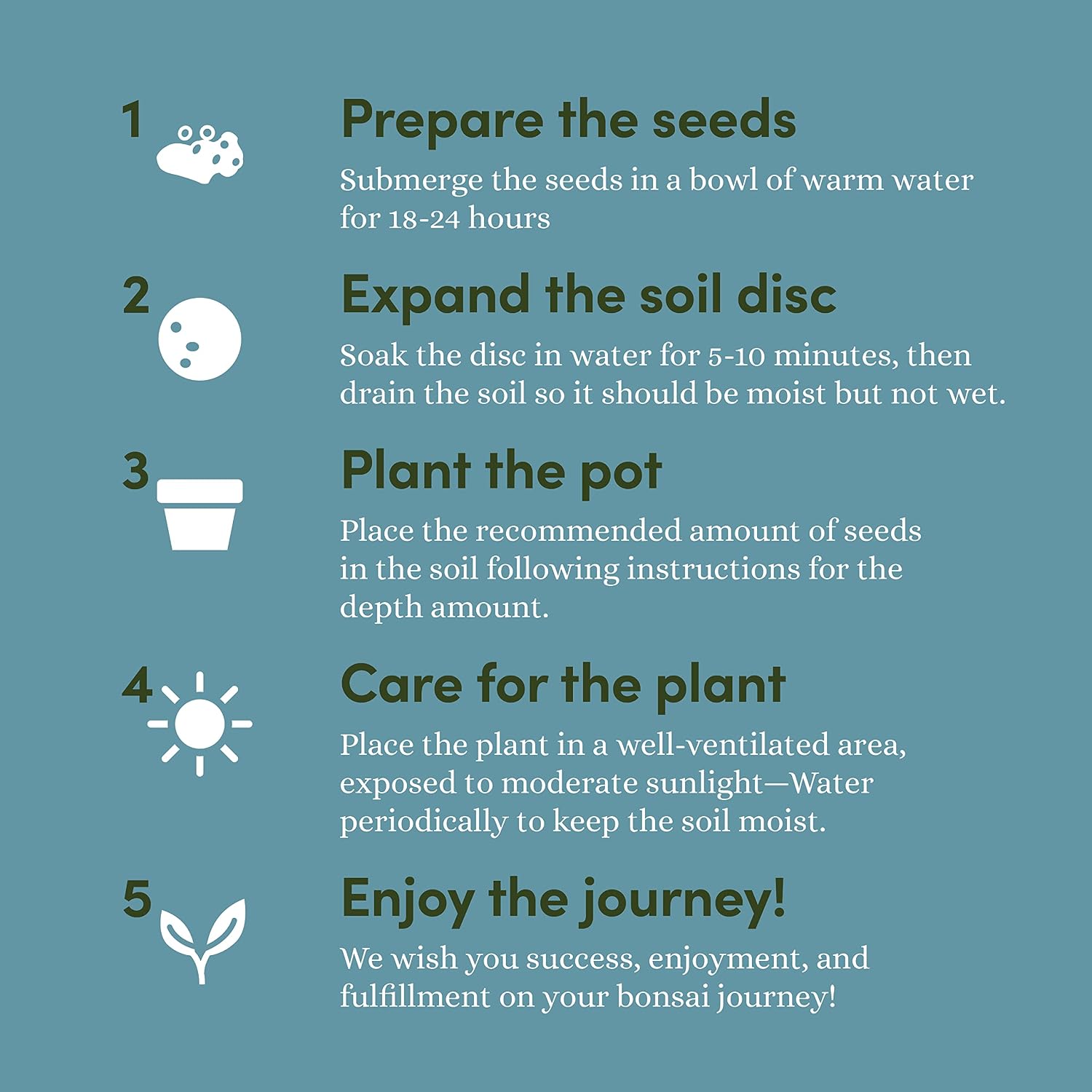 Bonsai Tree Kit for Beginners & Plant Lovers - Grow Your Own Bonsai | 4 Species Starter Kit with Burlap Pots, Shears