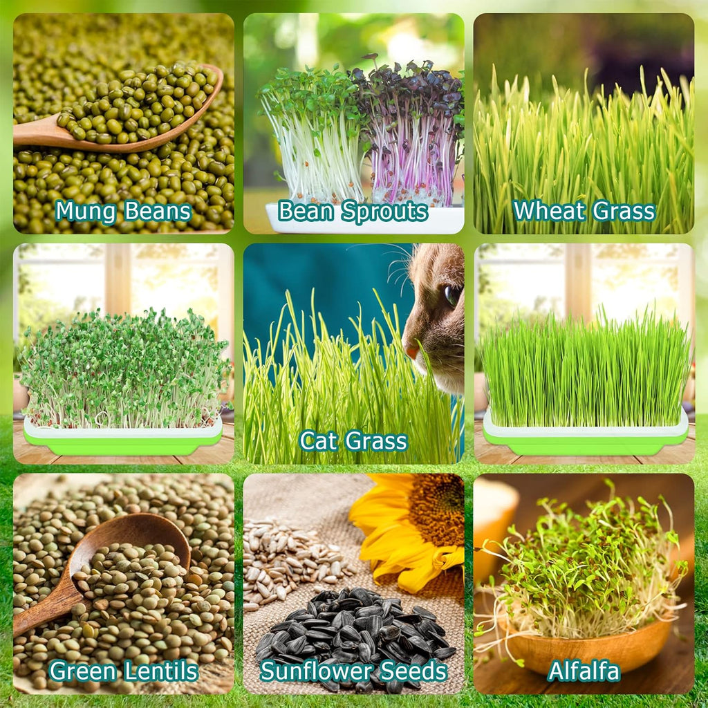 10 Pack Seed Sprouter Trays- Soil-Free Cultivation Germination Tray, BPA Free Nursery Tray with Planting Paper for