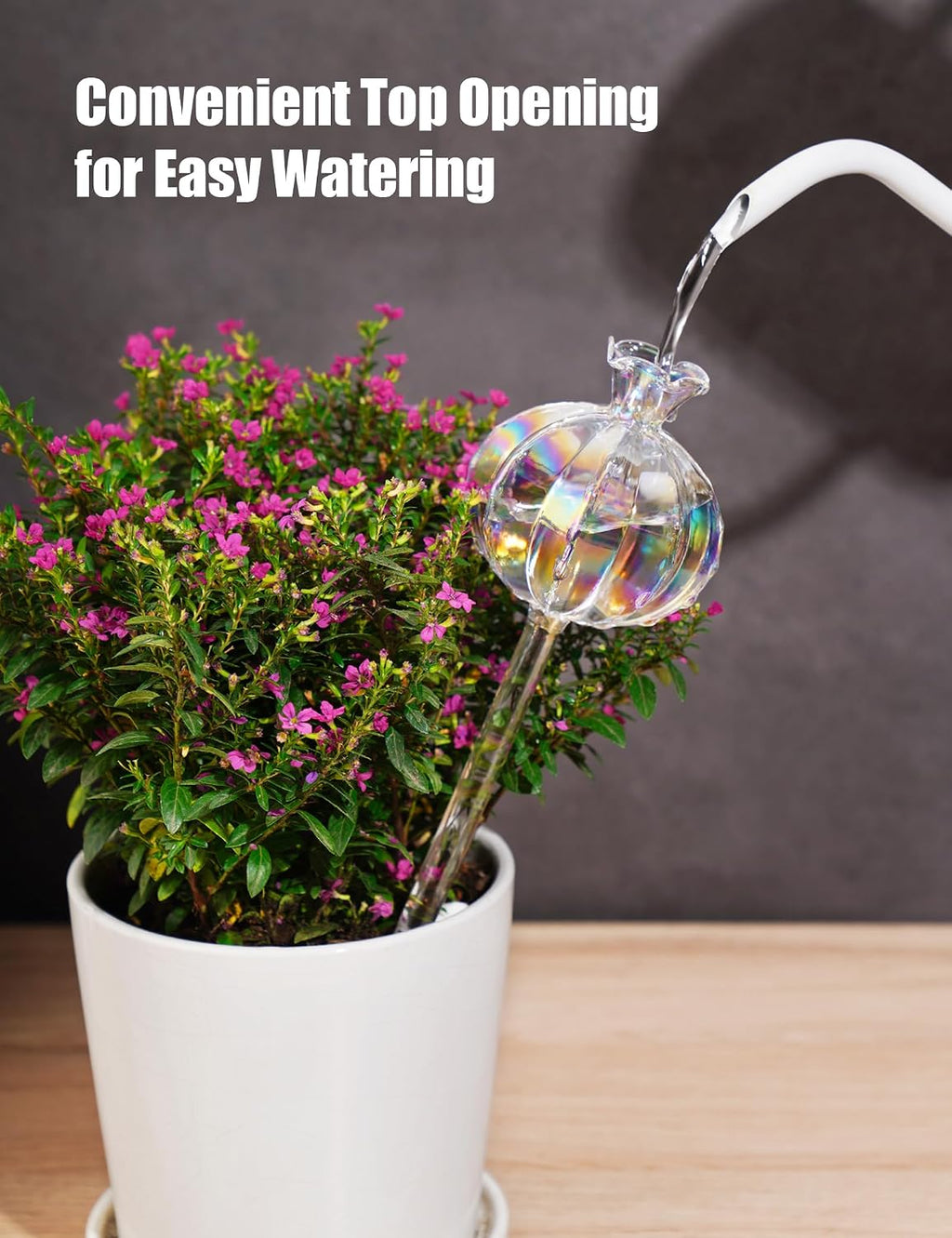 NiHome Cactus-Shaped Glass Plant Self-Watering Globes 6-Pack, Glass Waterer Stakes for Potted Plants, Automatic Mini
