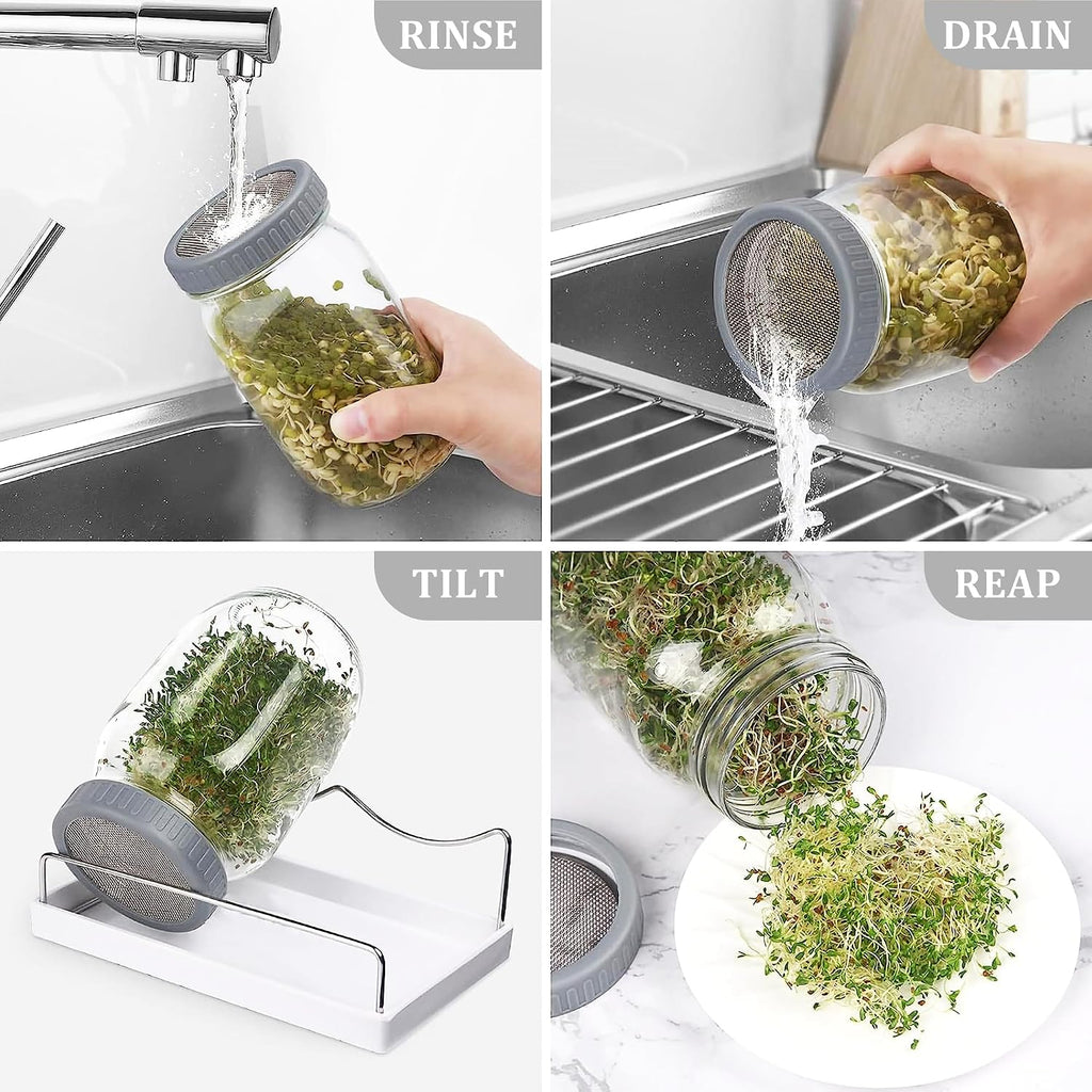 Organic Seed Sprouting Jar Kit – 2 × 32 oz Wide-Mouth Mason Jars with Stainless-Steel Sprouter Lids & Stand, Blackout