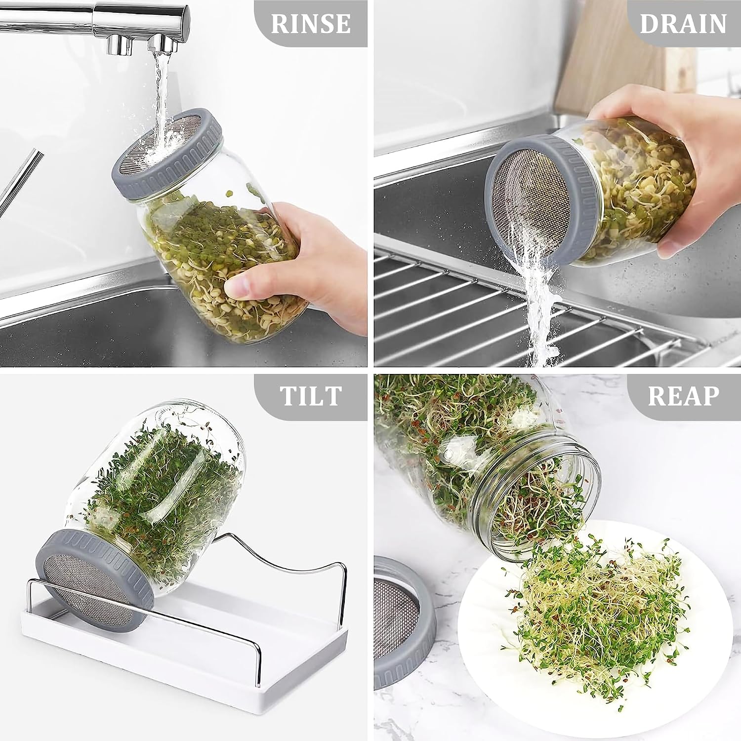 Organic Seed Sprouting Jar Kit – 2 × 32 oz Wide-Mouth Mason Jars with Stainless-Steel Sprouter Lids & Stand, Blackout