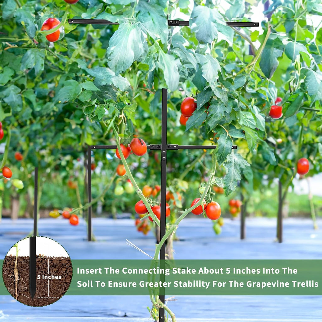 2 Pack Metal Detachable Raspberry & Grape Vine Trellis for Climbing Plants, Heavy-Duty 7 Ft Tall Large Vineyard Trellis