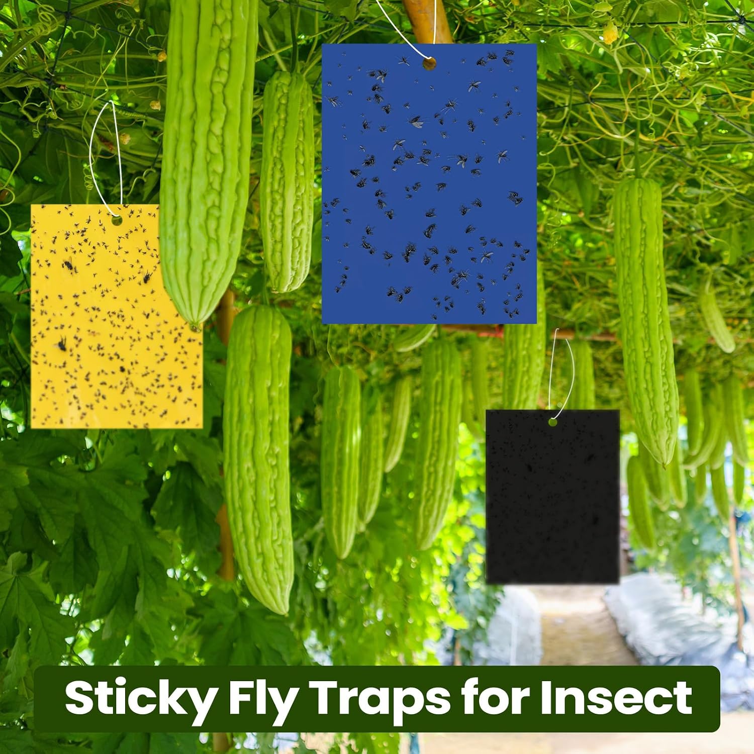 Qualirey 150 Pcs Green Sticky Traps 6x8in for Gnats Indoor | Dual-sided for Fungus Gnats Fruit Flies Whiteflies Thrips