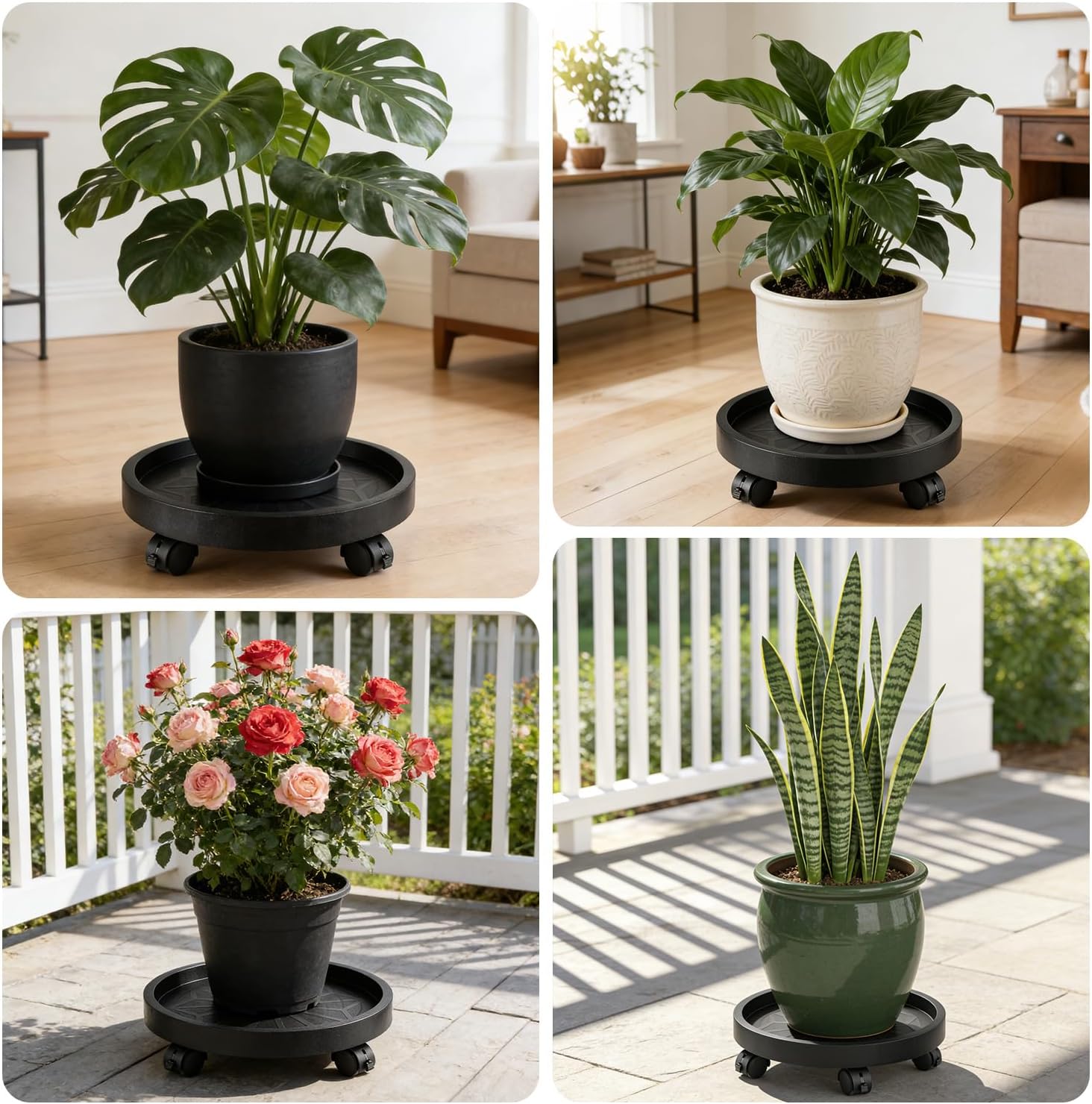 Planterhoma 5 Packs 12 Inch Plant Caddy with Wheels Rolling Plant Stand Wheeled Plant Dolly Heavy-Duty Large Pot Mover