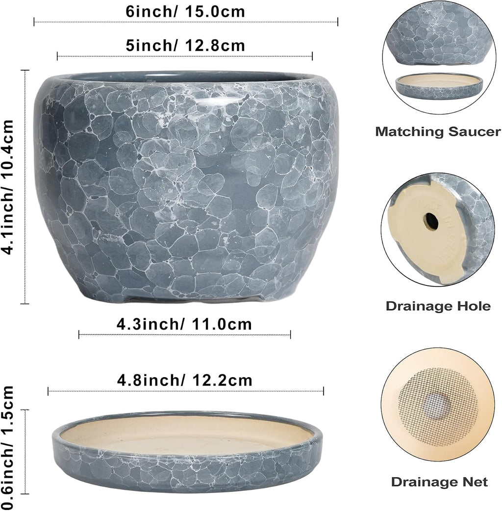 SQOWL 6 Inch Plant pots Indoor - Ceramic Planter with Drainage Hole and Saucer, Ceramic Flower Pot Outdoor, Decorative