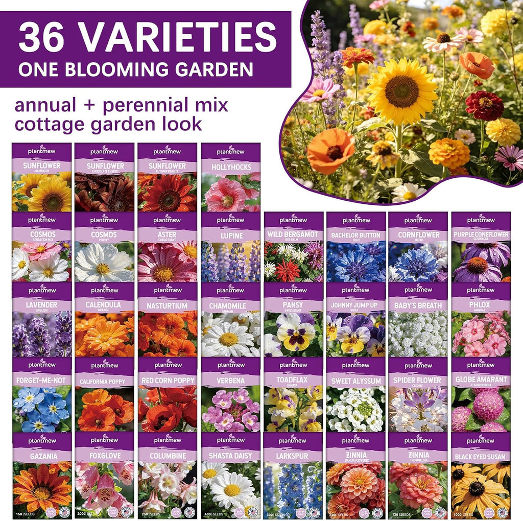 Wildflower Seeds Mix 1/2 lb, 19830+ Seeds Perennial& Annual 36 Varieties Flower Seeds for Planting，Non-GMO Heirloom