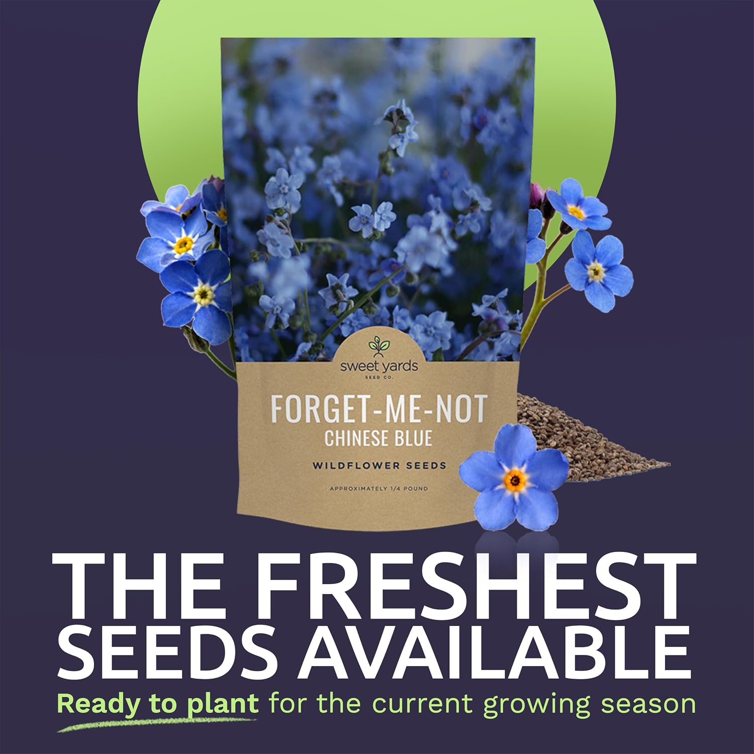 Chinese Forget Me Not Wildflower Seeds - Bulk 1/4 Pound Bag - Over 22,000 Open Pollinated Seeds - Blue Cynoglossum