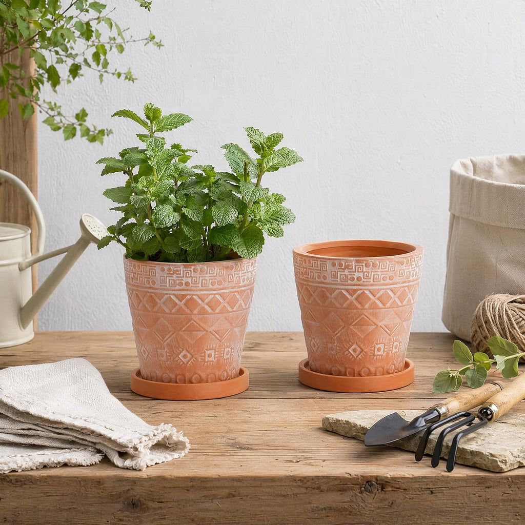 Cedilis 2 Pack Terracotta Pots, 5 Inch Red Clay Planter Pots with Drainage and Saucers, Ceramic Pottery Succulent