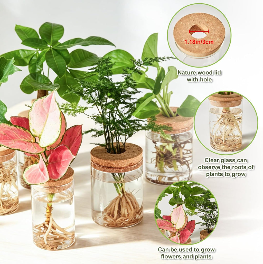 8 Pack Glass Propagation Vases, 2 Sizes Plant Propagation Station | with Cork Lids, Clear Hydroponic Rooting Jars for