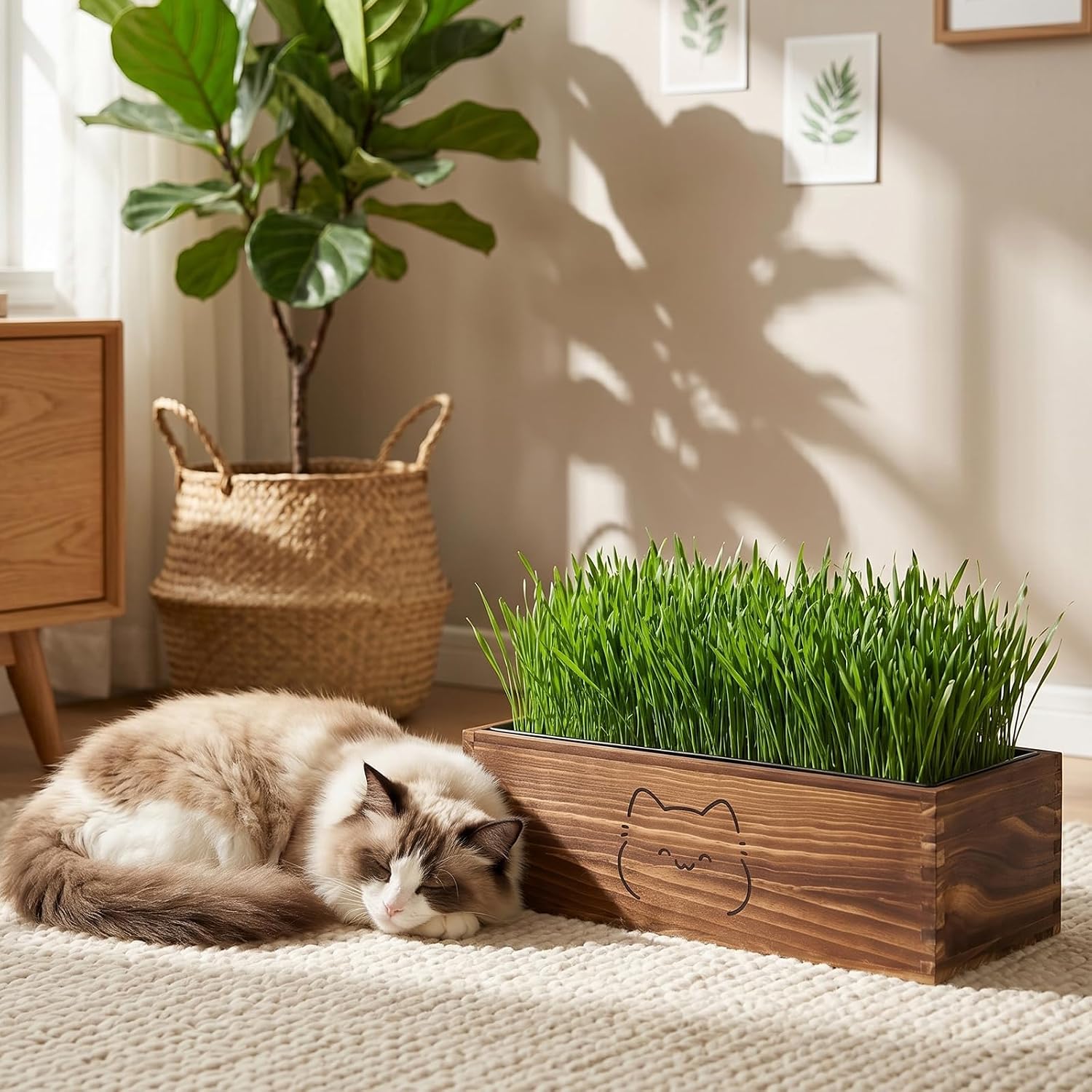 Wooden Cat Grass Planter (no Seeds Included),Cat Grass Kit for Indoor Cats with Anti-Digging Grid, Potting Soil
