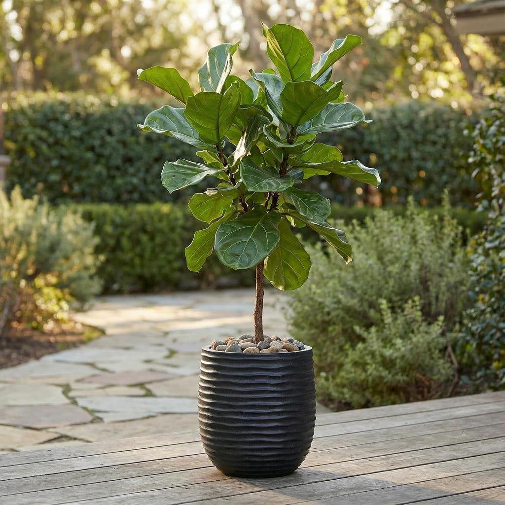 15" Dia x 16.5" H Concrete Planter with Wavy Texture, Black - 1 Pack | Large Flower Pot with Drainage Hole and Silicone