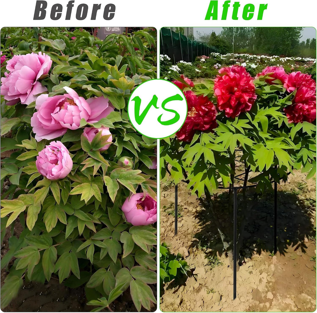 Peony Cages and Supports, 31.5"H x 12.6"D Plant Supports for Outdoor Plants | Large Peony Support Cages, 7mm Heavy Duty