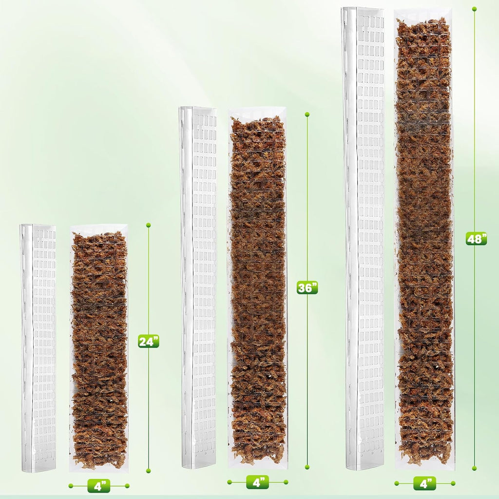 EOX Plastic Moss Pole for Monstera, 24/36/48-Inch, 6-Pack | Clear D-Shaped Design, Fold-to-Assemble, Sphagnum Moss Not