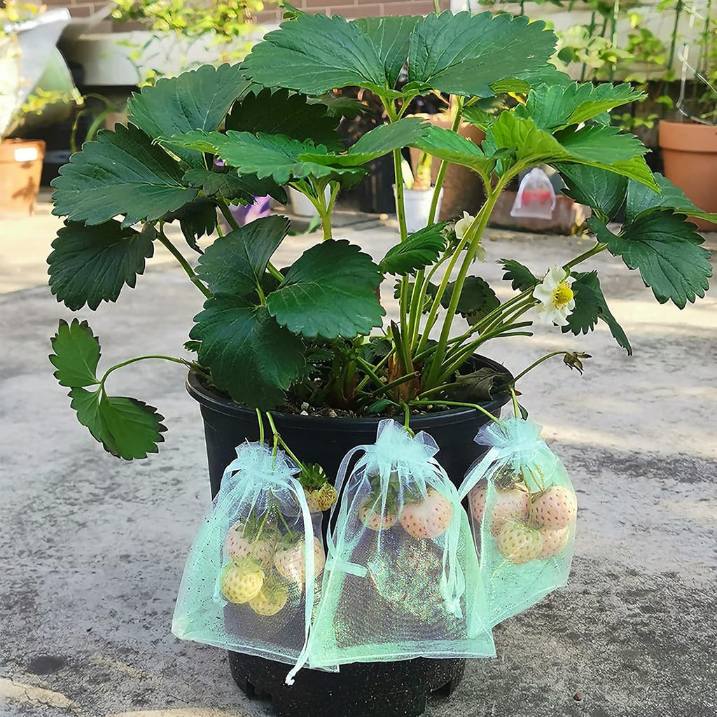 MIXC 100 Pcs Fruit Protection Bags, 12"x16" Fruit Net Cover with Drawstring | Organza Fine Mesh, Lightweight Breathable