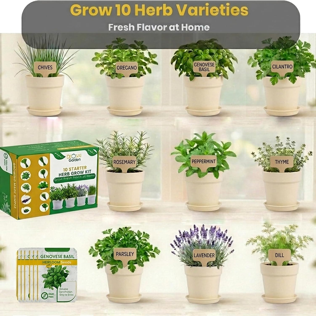47 PCS Herb Garden Seeds Starter Kit, 10 Non-GMO Culinary Herb Seeds with Beige Pots & Planters for Windowsill, Herb