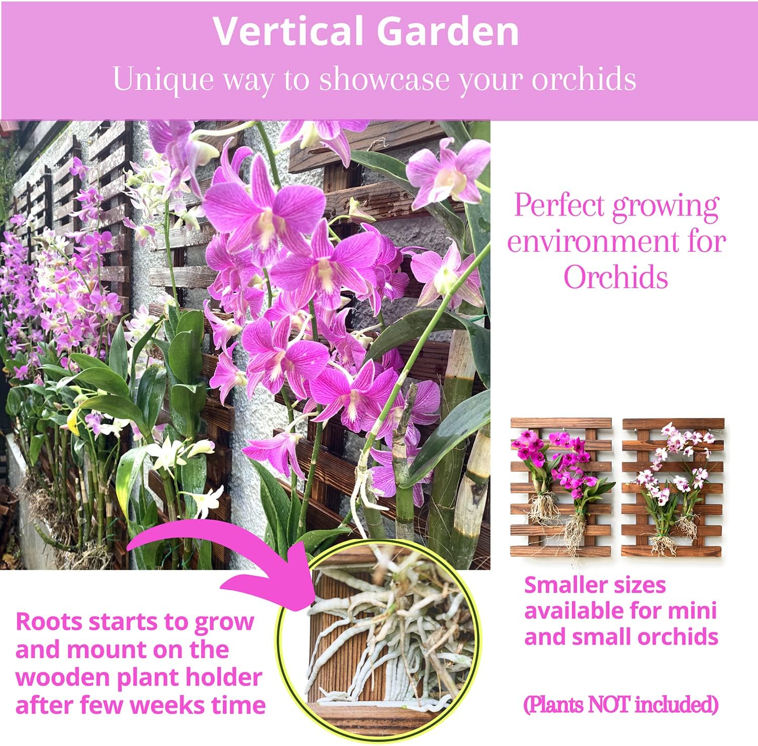 ShopLaLa Wooden Wall Planter (120cm, 2 Pack) Wooden Hanging Flower Plants | Large Outdoor Plants, Live Vertical Garden
