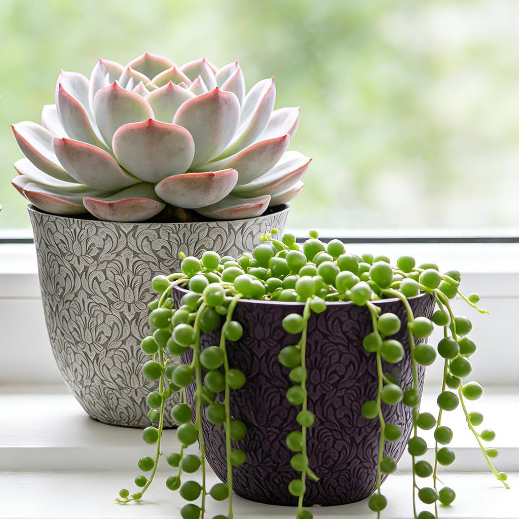 Worth Garden Plastic Round 8" Plant Pots for Indoor Plants - Set of 6 Multicolor Small Flower Pots W/Drainage Hole and