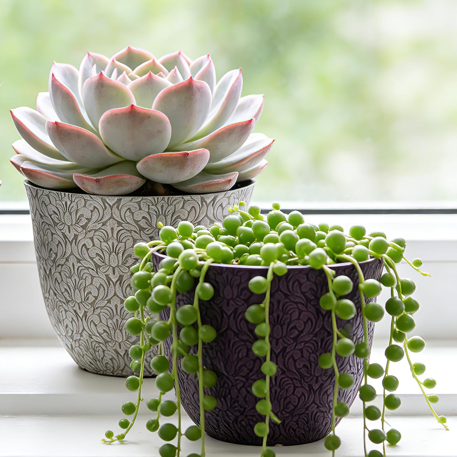 Worth Garden Plastic Round 8" Plant Pots for Indoor Plants - Set of 6 Multicolor Small Flower Pots W/Drainage Hole and