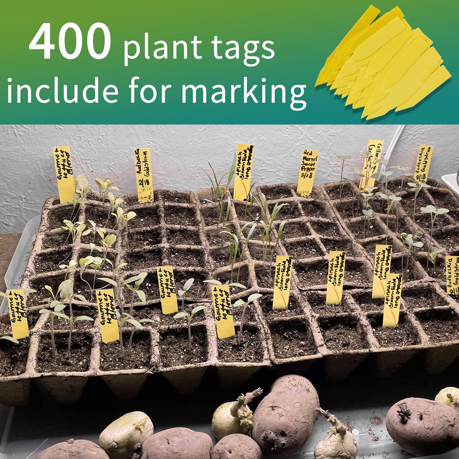 400Cells Seedling Start Trays with Drain Holes,40pcs Peat Pots Seedling Pots Biodegradable,Seedling Starter Kit,Organic