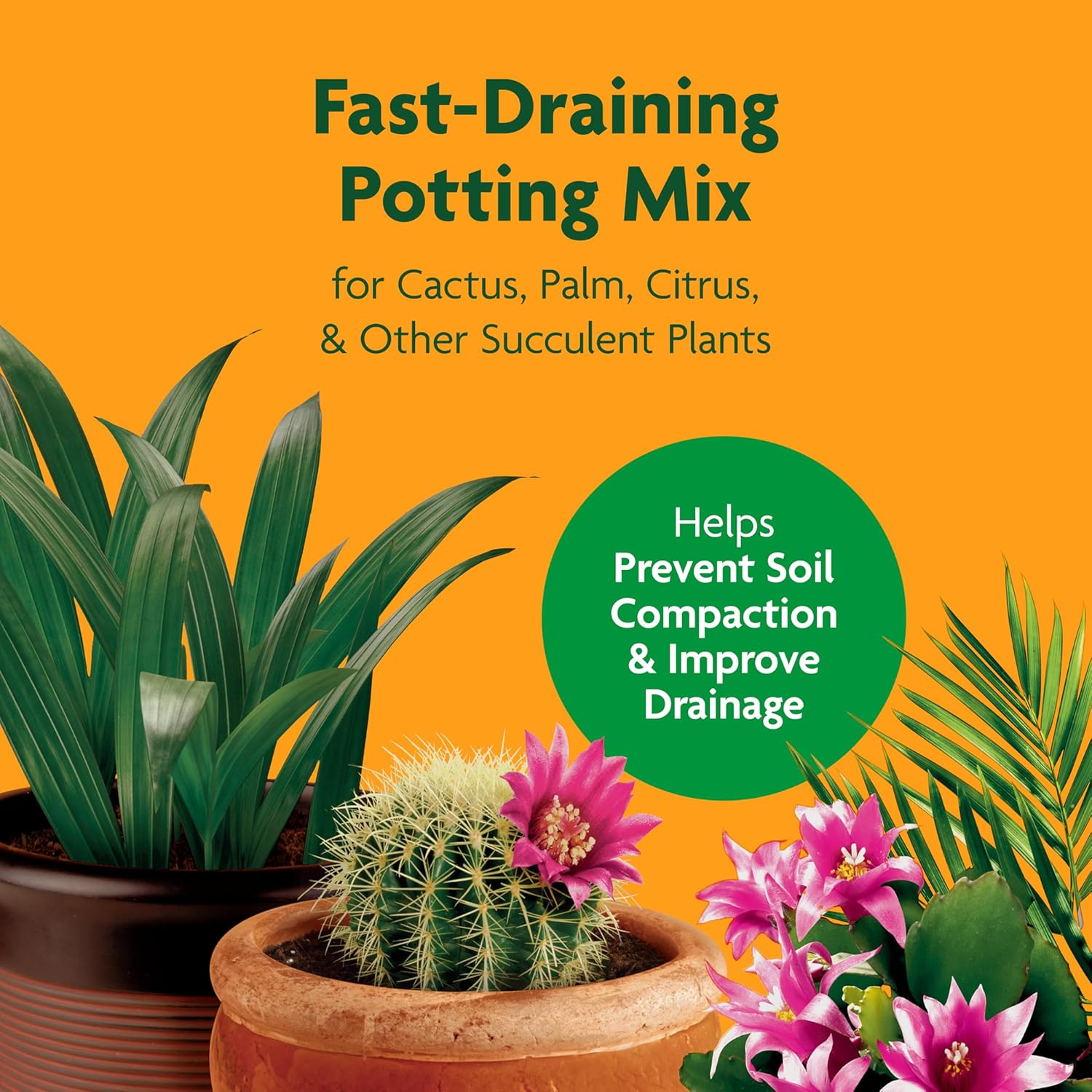 Gro Cactus, Palm & Citrus Potting Mix, 8 qt., 3-Pack | Palm and Citrus Potting Mix, For Indoor or Outdoor Container