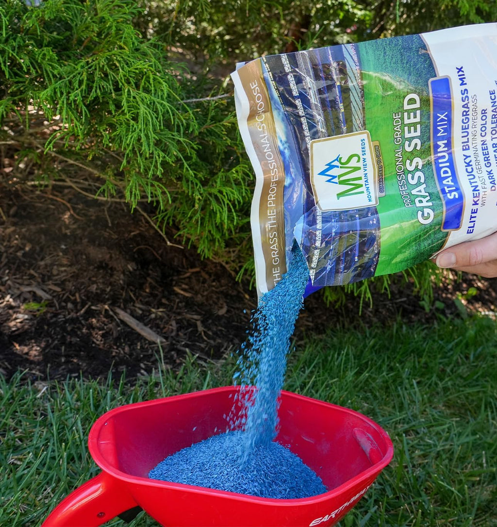 The Andersons Stadium Mix Kentucky Bluegrass Grass Seed - 3 lbs.