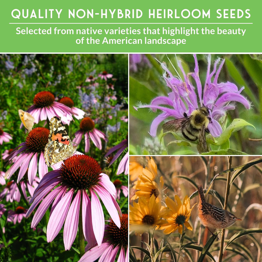 American Wildflower Seeds for Planting - 24 Variety Pack of Native Plants | Native Flowers + Bunchgrasses for Butterfly