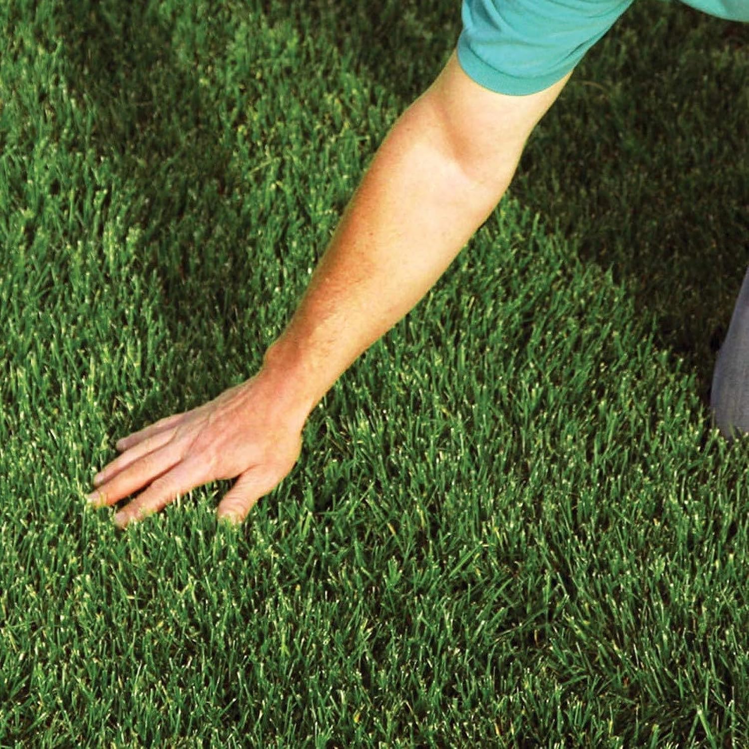 EZ Straw Lawn Repair Mix – Sun/Shade Blend – Combination Seed, Mulch, Fertilizer (28 lb. Covers 600 sq. ft.)