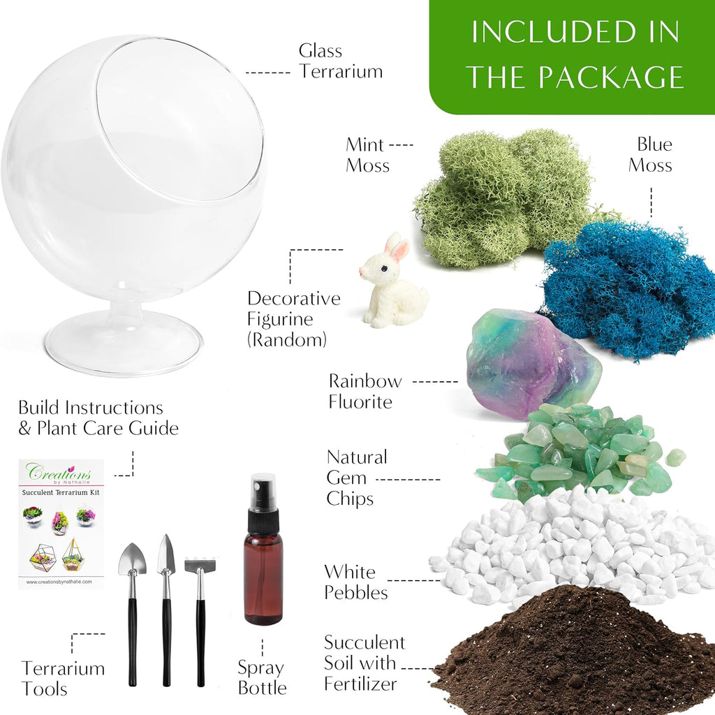 Creations by Nathalie DIY 6" Chalice Terrarium Kit Build Your Own Glass Terrarium for Adults & Teens, DIY Terrarium Kit