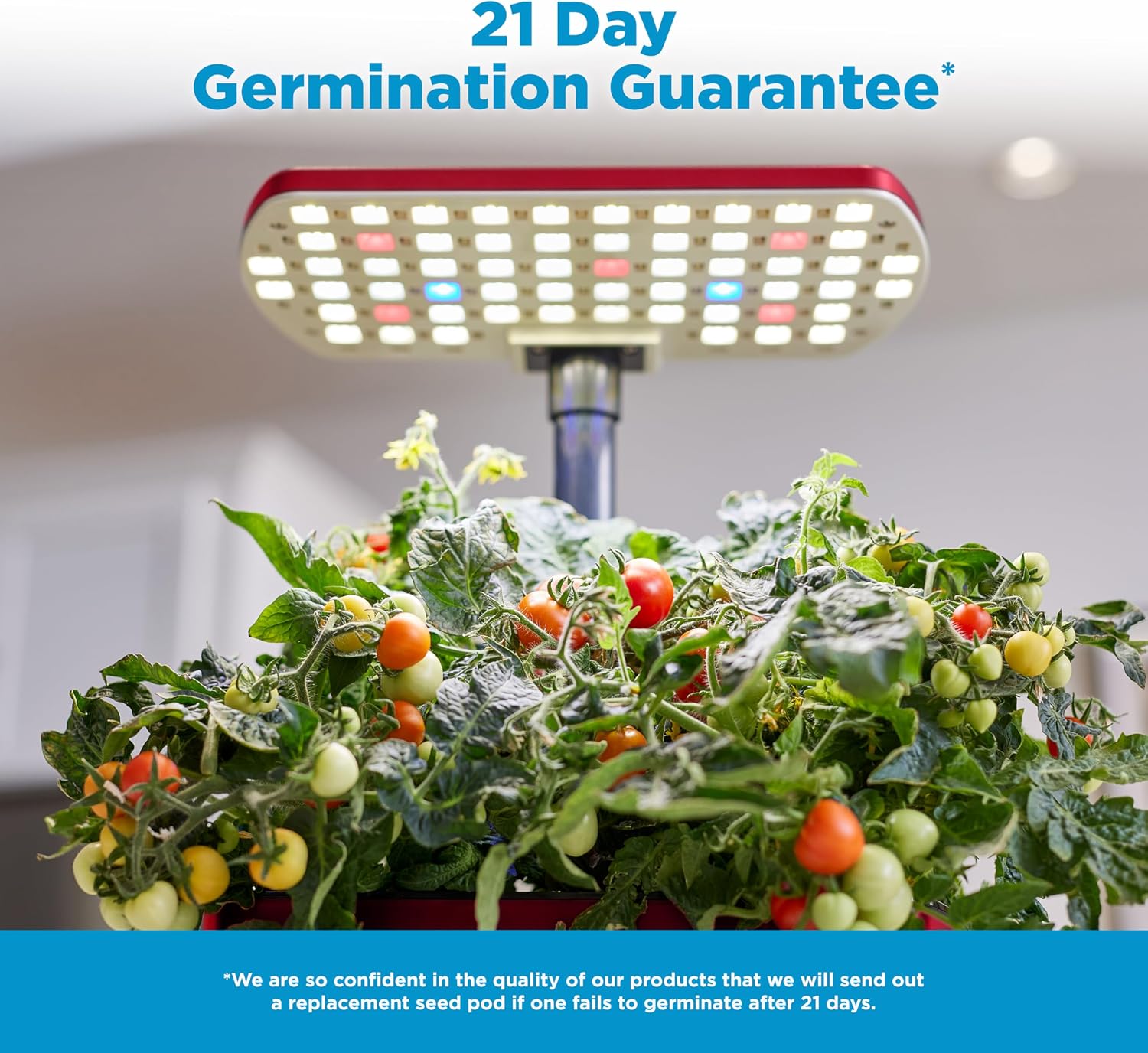 AeroGarden Harvest Lite, Cherry Red | Soil-free Indoor Hydroponic Garden with LED Grow Light for Year-Round Gardening
