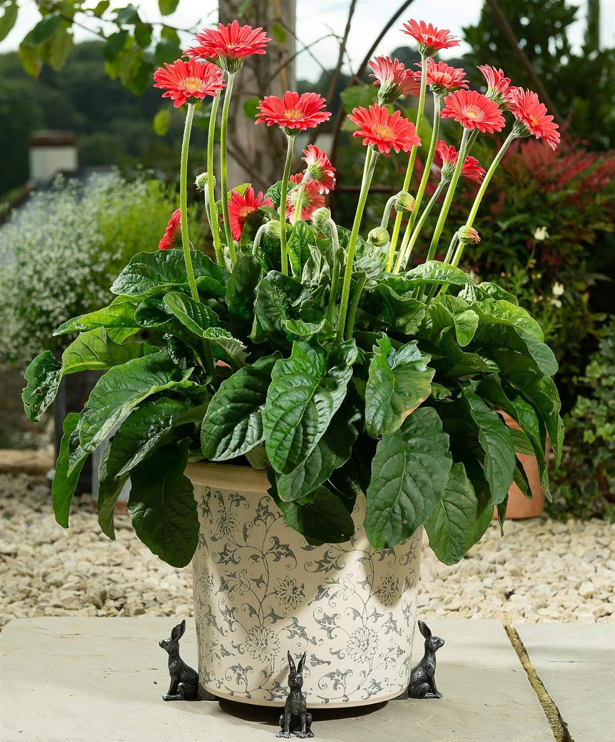 Large Sitting Hare Plant Pot Feet - Set of 3