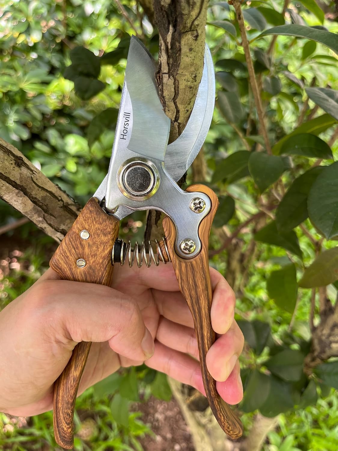 Branch Trimmer, Japanese Bonsai Trimming Scissors, Garden Clippers Handheld, Ergonomic Gardening Tools, Floral Shears