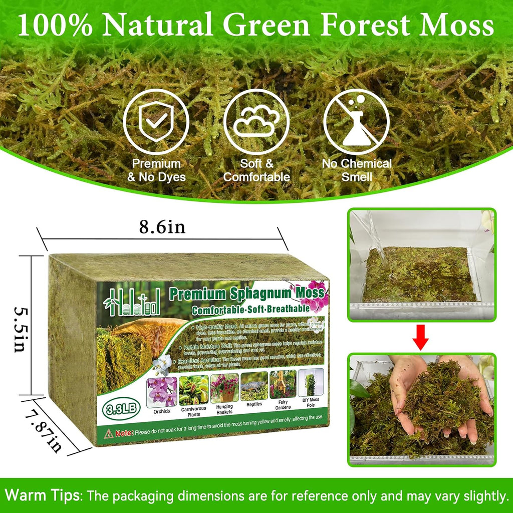 Halatool 3.3 LB Natural Green Forest Moss, Long Fiber Dried Sphagnum Moss | No Dyes, Water Retention & Areation, Dried