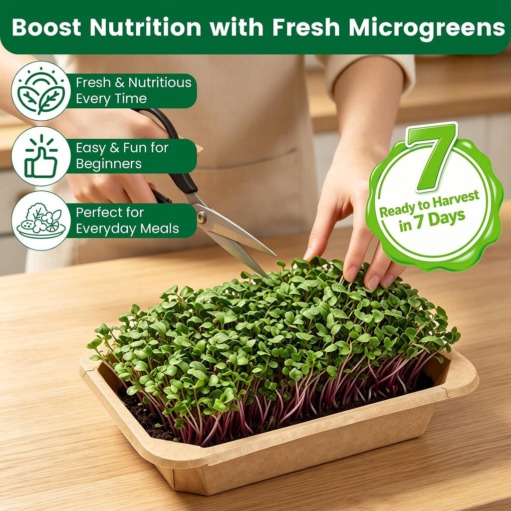 Microgreens Growing Kit Indoor Garden - Complete Micro Greens Growing Kits with 5 Seed Packs - Grow Broccoli, Arugula