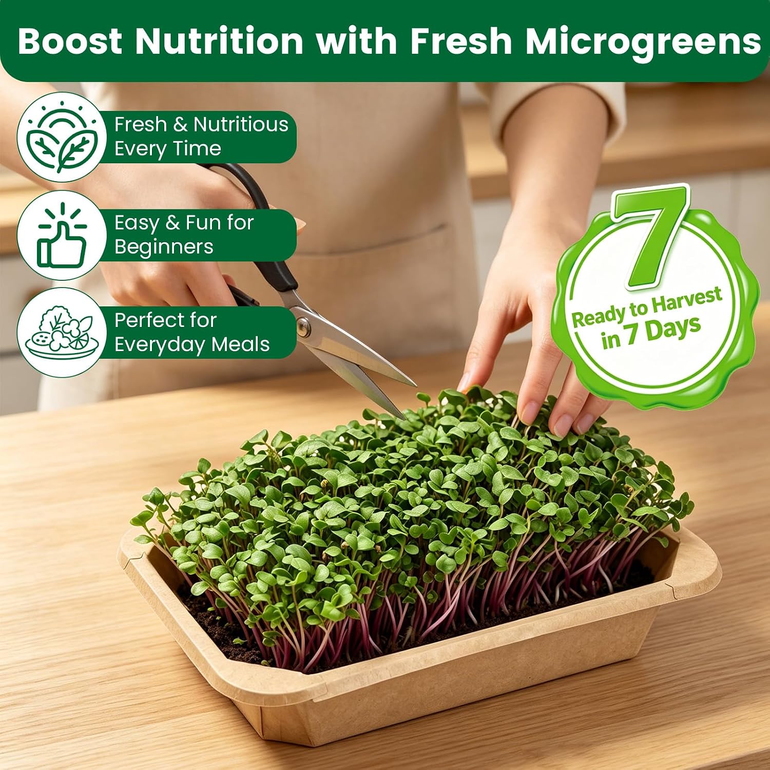 Microgreens Growing Kit Indoor Garden - Complete Micro Greens Growing Kits with 5 Seed Packs - Grow Broccoli, Arugula