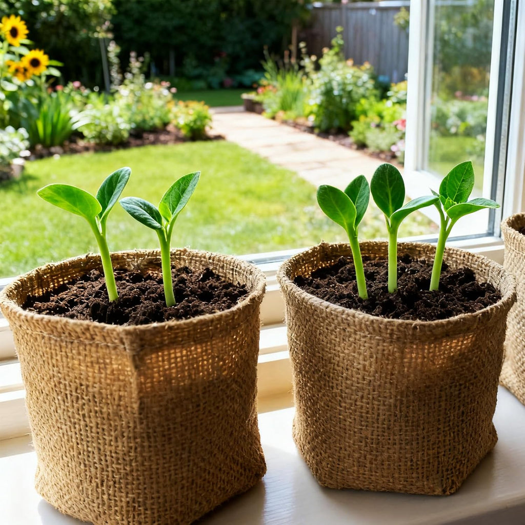 Flower Growing Kits, Windowsill Planting Kit with Planting Bags, Coir Soil & Tools Indoor Gardening Starter Kit with
