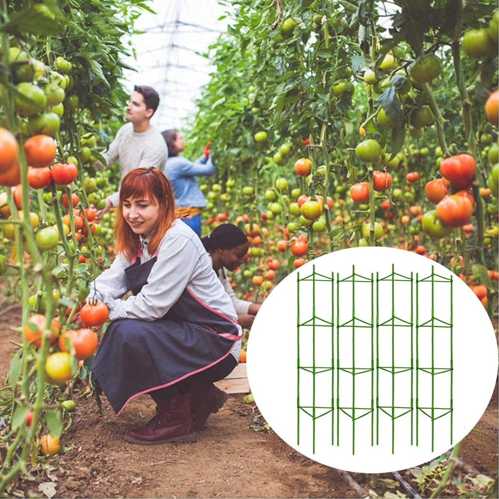Moirsunt 66Inch Tomato Cage for Garden, 4Pack Plant Support Garden Stakes | Versatile Tomato Stakes Trellis for Raised