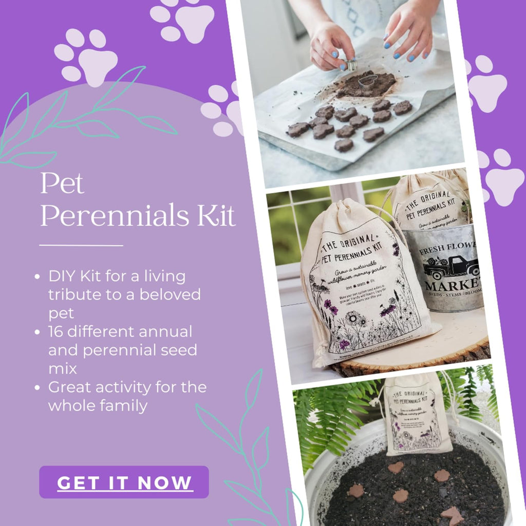 Pet Perennials Memorial Wildflower Garden DIY Kit Creates Seed Wafers Pet Loss Gift