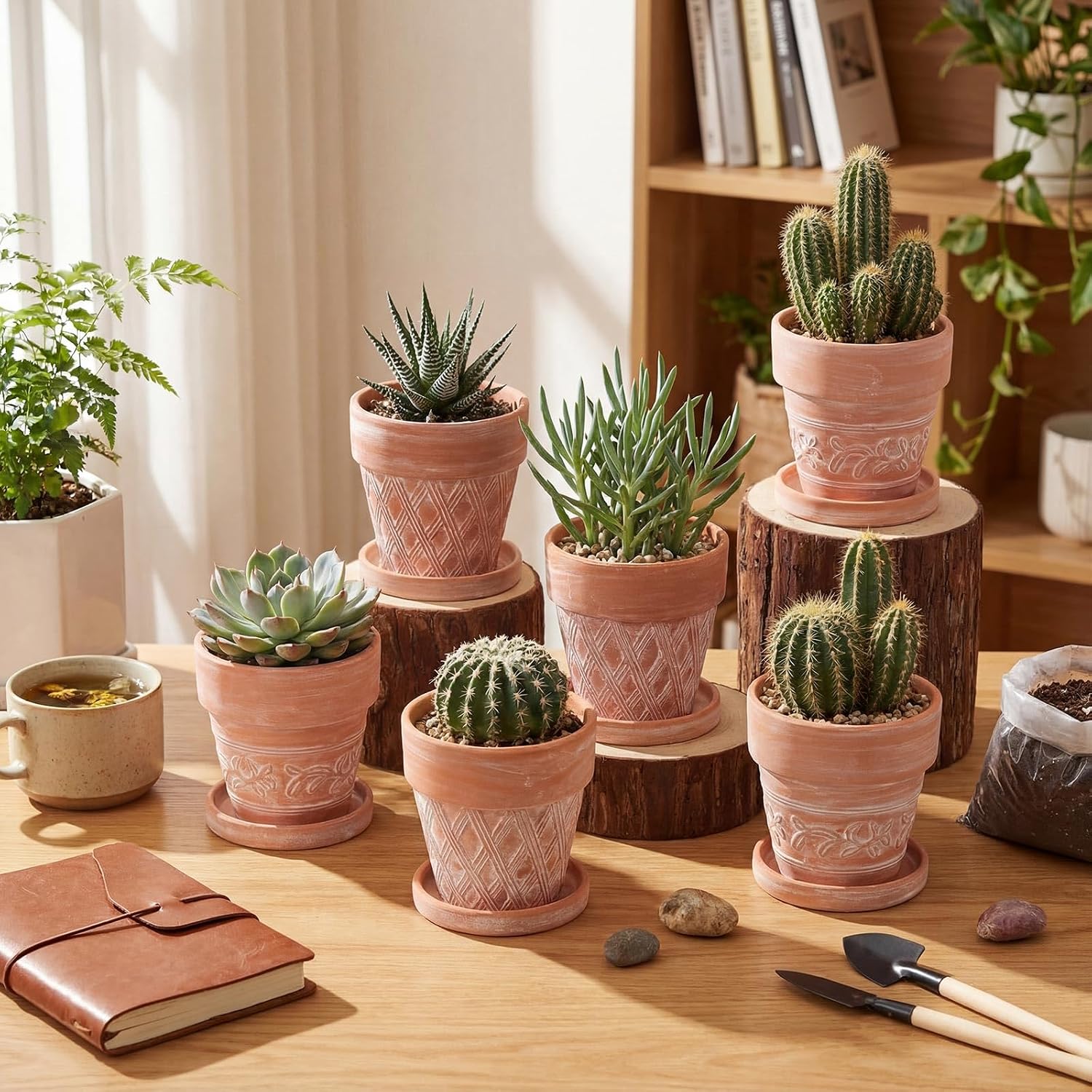 Set of 6 Embossed Succulent Pots 4" Small Terracotta Pots with Drainage Hole Saucer Mini Rustic Clay Succulent Planter