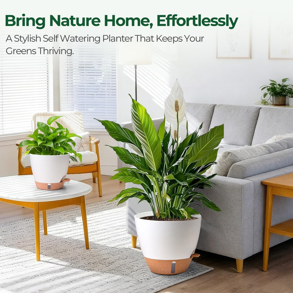 T4U Self Watering Pots for Indoor Plants, 8-12 Inch, 3 Pack, White | Visible water level window, Pothos and monstera