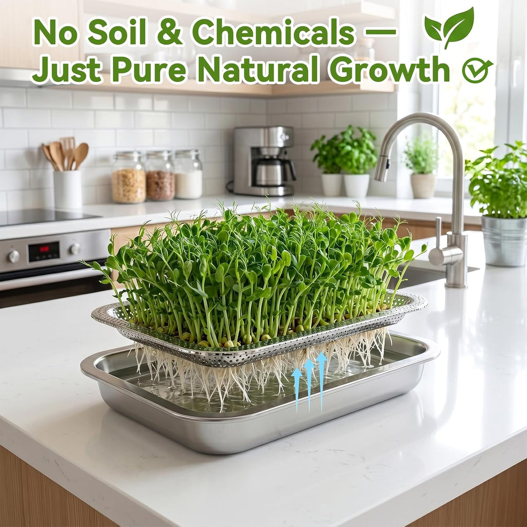 2 Pcs Stainless Steel Seed Sprouting Trays with Towel & Gauze (10.6 x 7.8) | 2-Tier Soil-Free Microgreens Growing Kit