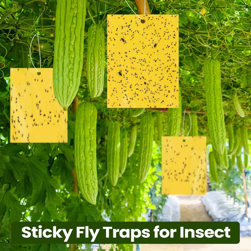 Qualirey 700 Pcs 6x8 Inch Yellow Sticky Traps for Gnats, Dual-Sided Sticky Gnat Traps for Indoor Outdoor, Fly Catcher