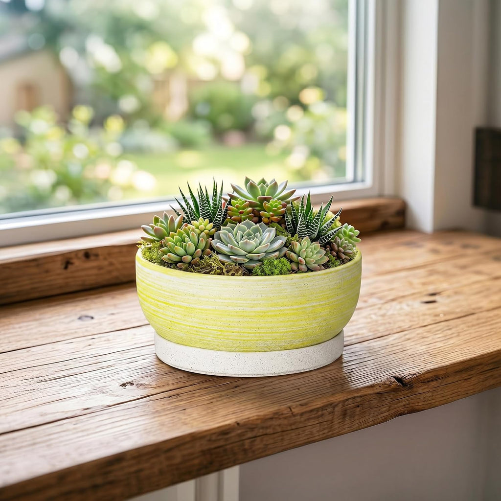 Bonsai Pots, 6 Inch Ceramic Succulent Pots with Tray, Brushed Yellow | Small Bonsai Planter with Drainage Hole, Round