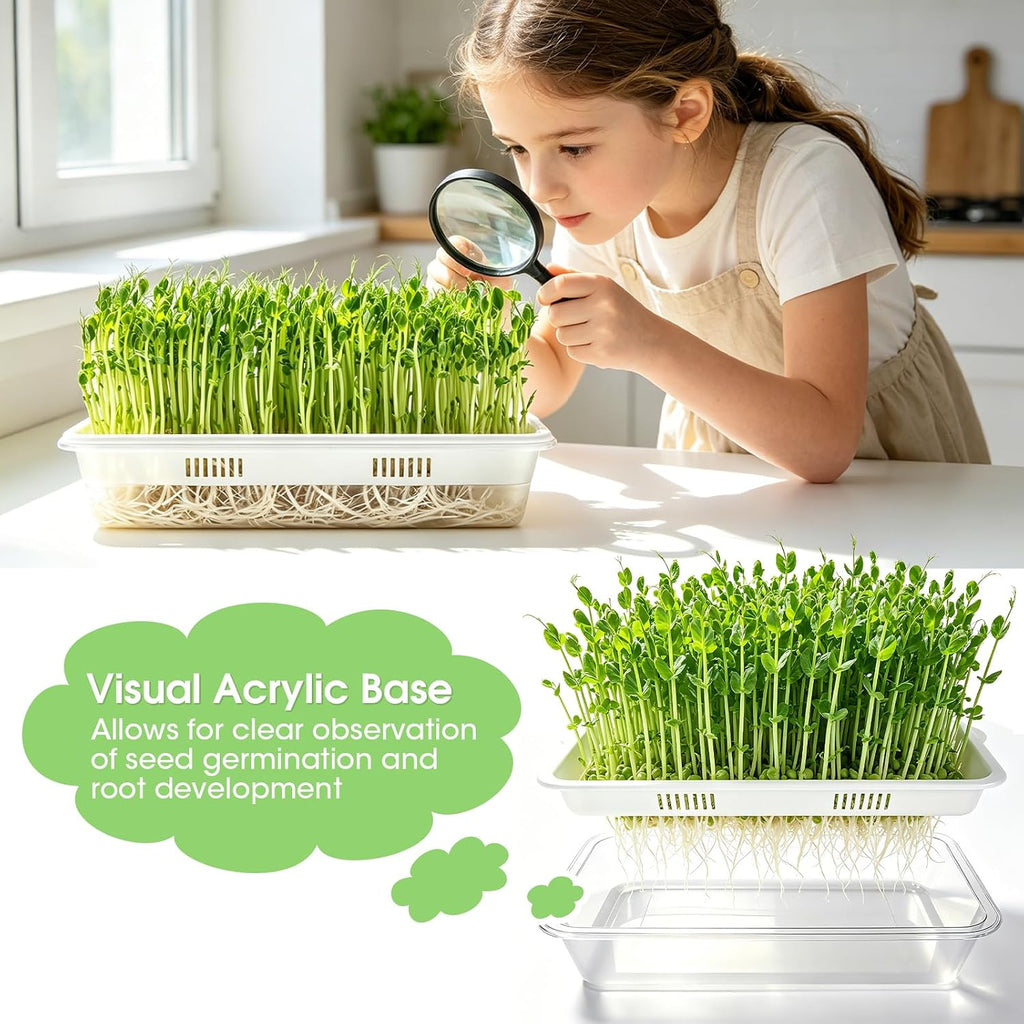 3 Pack Hard Acrylic Microgreens Growing Trays, Visual Soilless Sprouting Kit with Silicone Mats & Spray Bottle, Seed