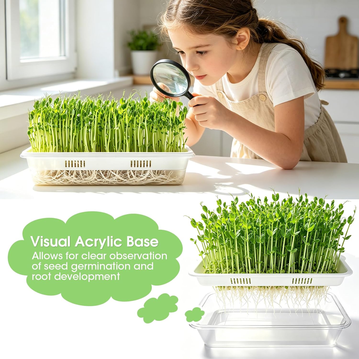 3 Pack Hard Acrylic Microgreens Growing Trays, Visual Soilless Sprouting Kit with Silicone Mats & Spray Bottle, Seed
