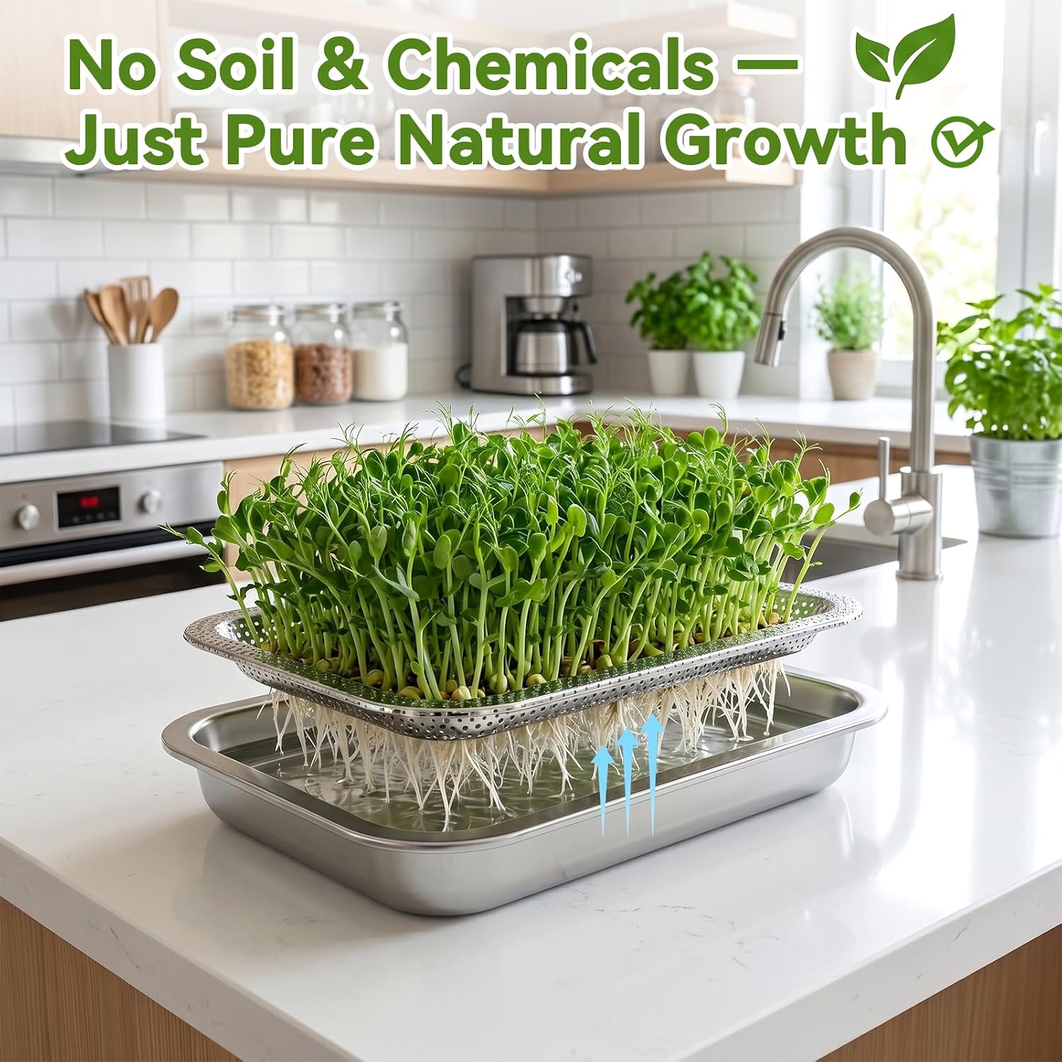 2 Pcs Stainless Steel Seed Sprouting Trays with Towel & Gauze (12.6 x 8.6) | 2-Tier Soil-Free Microgreens Growing Kit