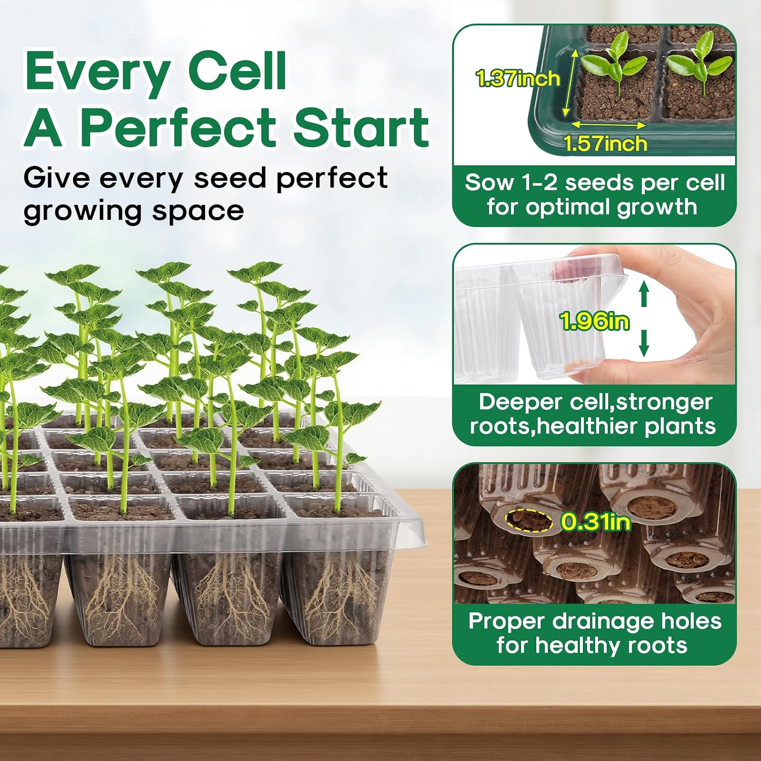 Seed Starter Tray with Grow Light, Humidity Dome, 2 Pack 80 Cells | Seedling Tray Kit with Vented Dome & Drainage