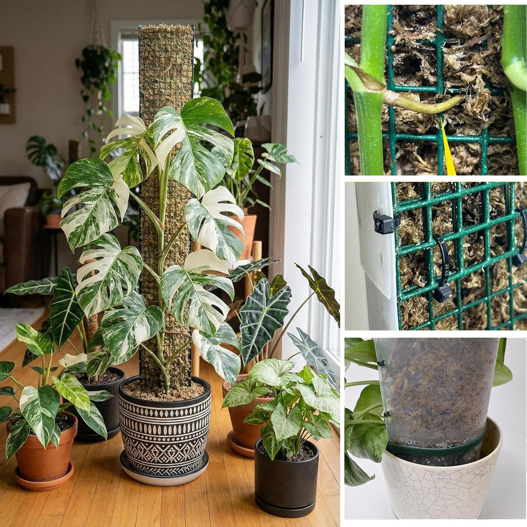 Moss Pole DIY Kit, D Shape Sphagnum Moss Pole Monstera Plant Support for Climbing Plants, DIY Plant Stakes Work with