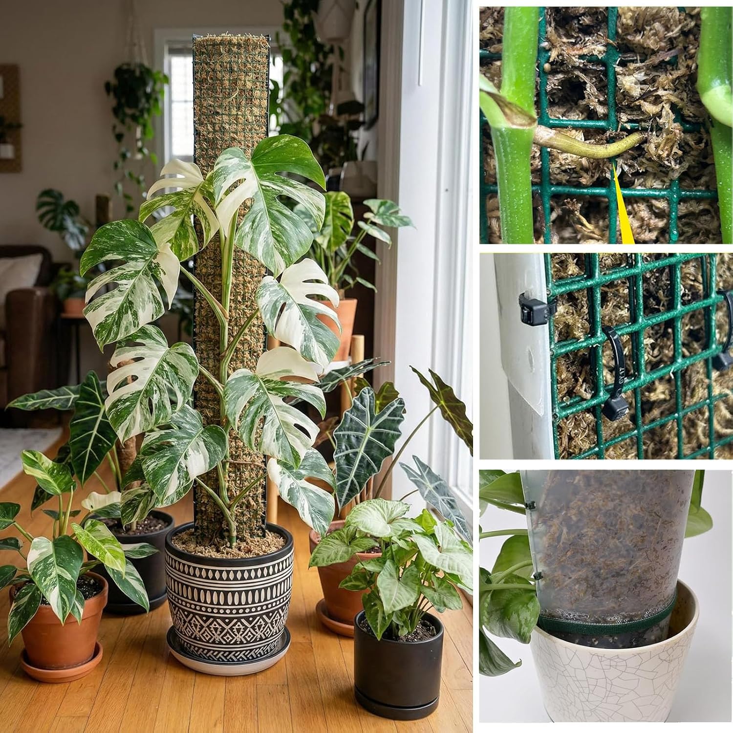 Moss Pole DIY Kit, D Shape Sphagnum Moss Pole Monstera Plant Support for Climbing Plants, DIY Plant Stakes Work with