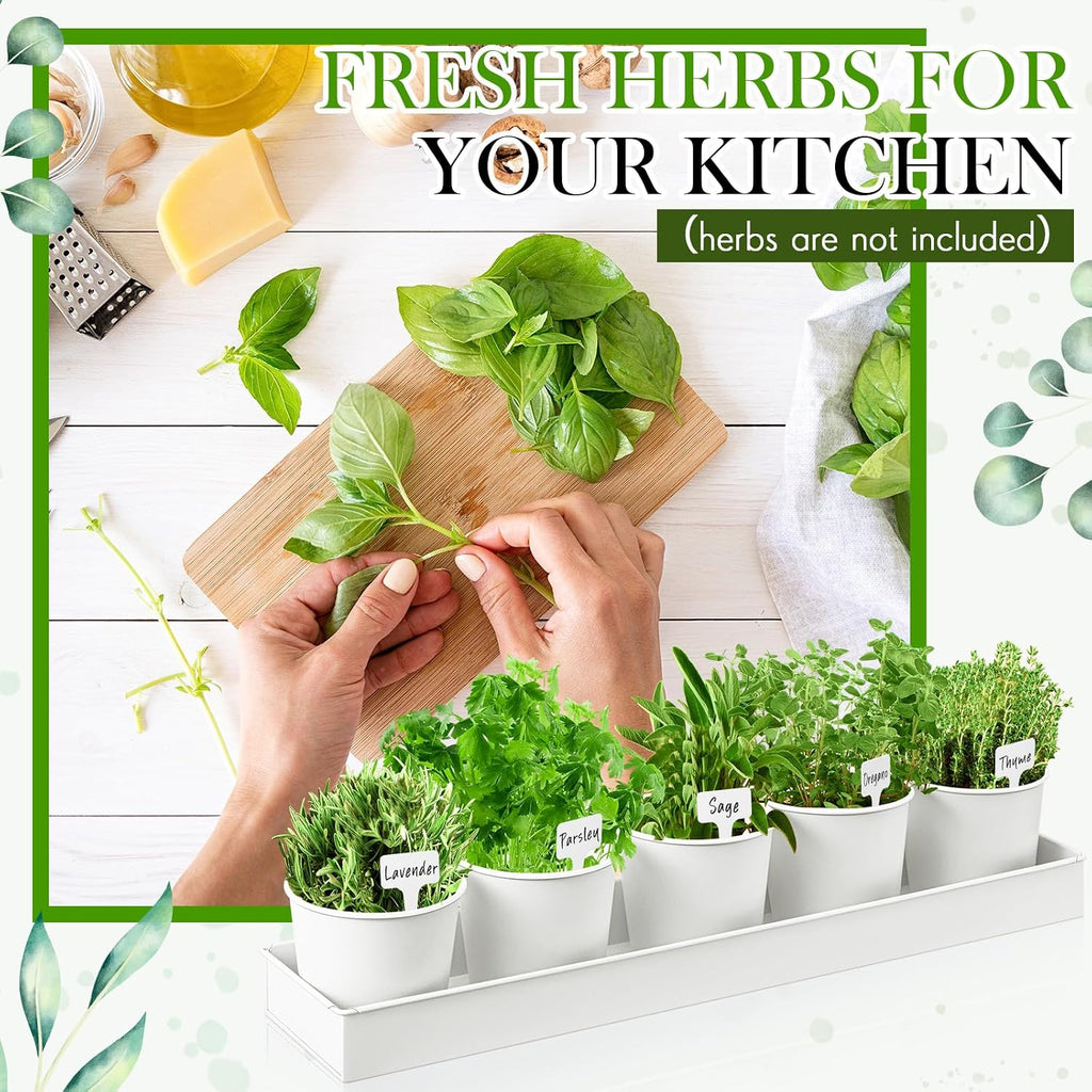 FoldTier 2 Sets Indoor Herb Garden Planter Kit with 10 Metal Pots, White | Metal Pots with Drainage Holes, Plant Labels