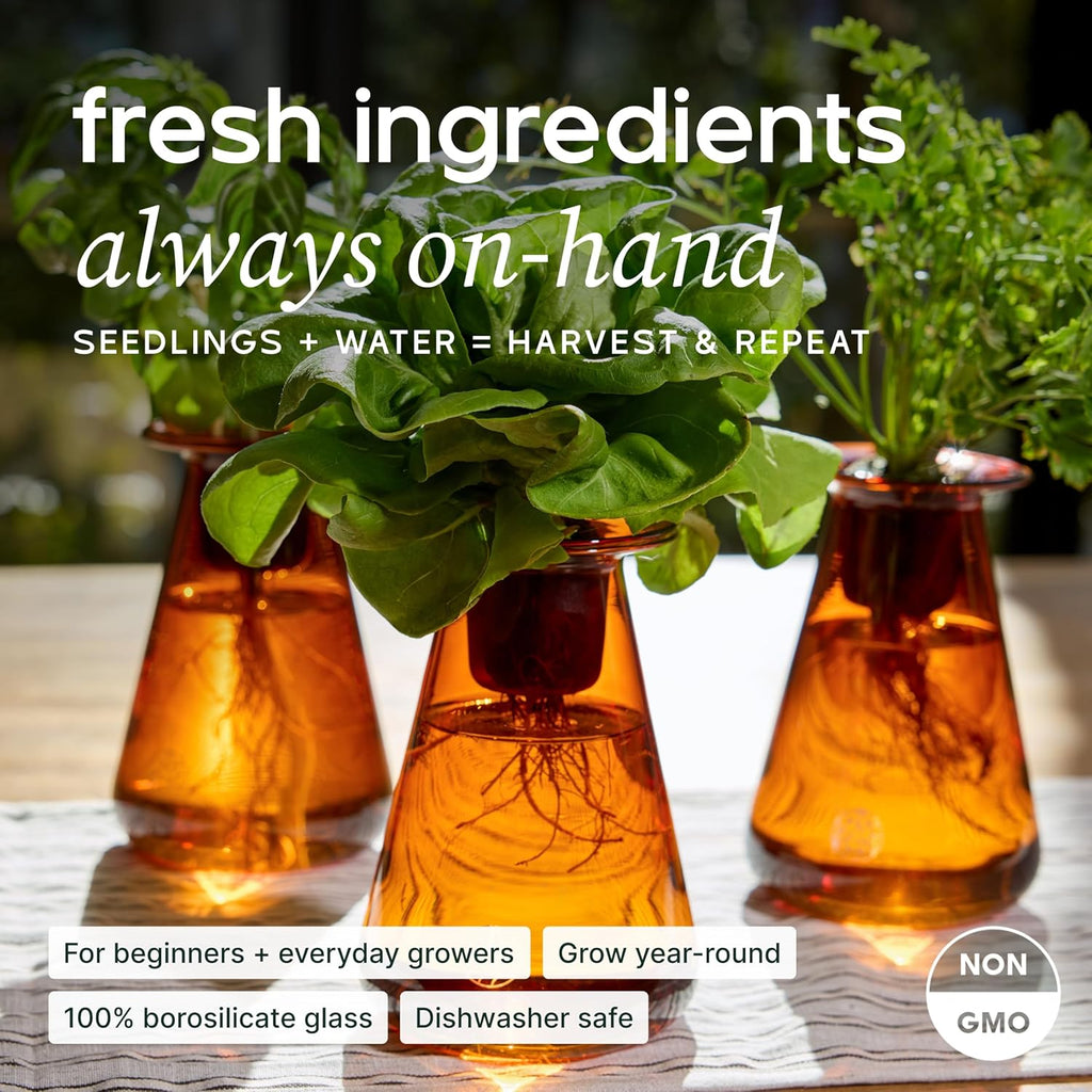 Counterstand Hydroponic Garden, Indoor Gardening System Hydroponics Growing System Kit, Herb Garden Planter Indoor Kit